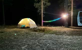 Camila S.'s photo of a dispersed camping area at Calumet Rd Dispersed Camping near Hill City, SD