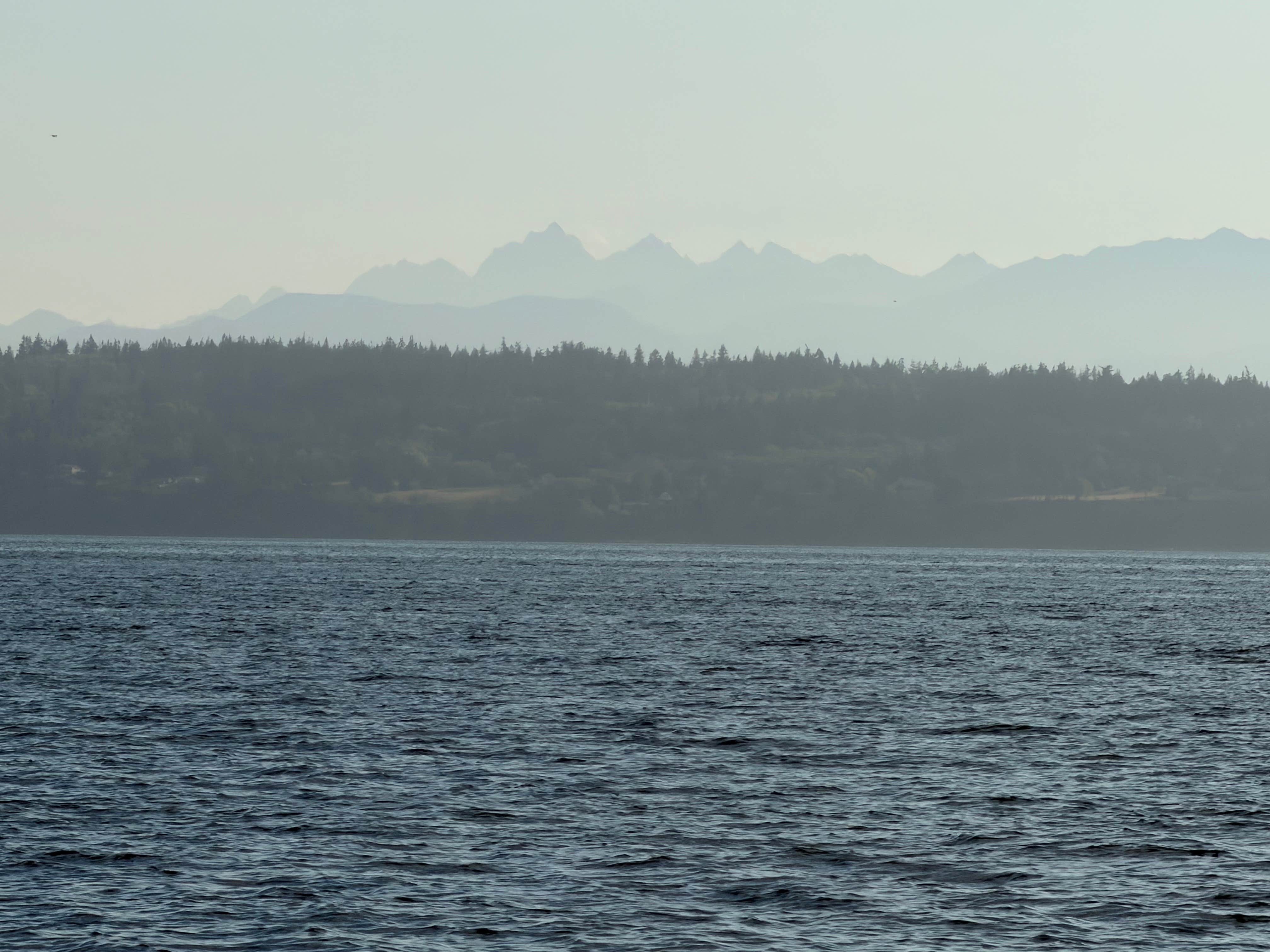Camper-submitted photo at Camano Island State Park Cabins near Coupeville, WA