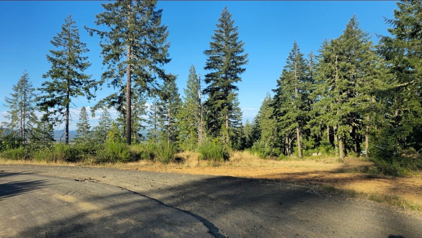 Camper-submitted photo at Camas Valley BLM near Lakeside, OR