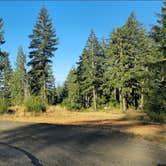 Review photo of Camas Valley BLM by jackosc2 , July 16, 2026