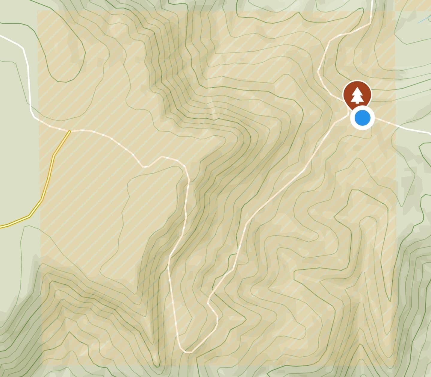 Camas Valley BLM
