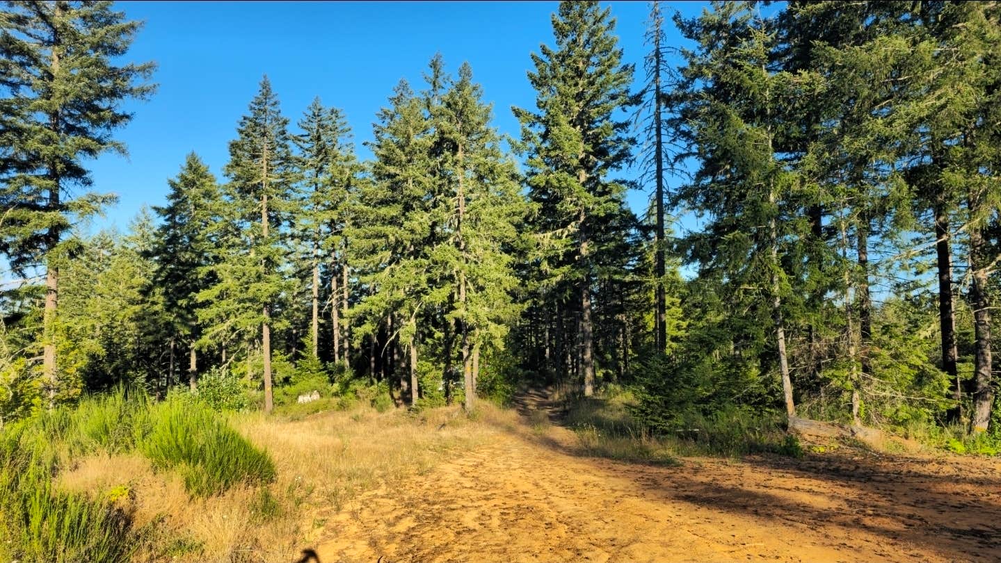 Camper-submitted photo at Camas Valley BLM near Lakeside, OR
