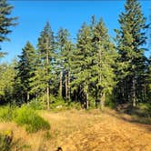 Review photo of Camas Valley BLM by jackosc2 , July 16, 2026