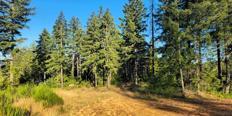 Camper submitted image from Camas Valley BLM