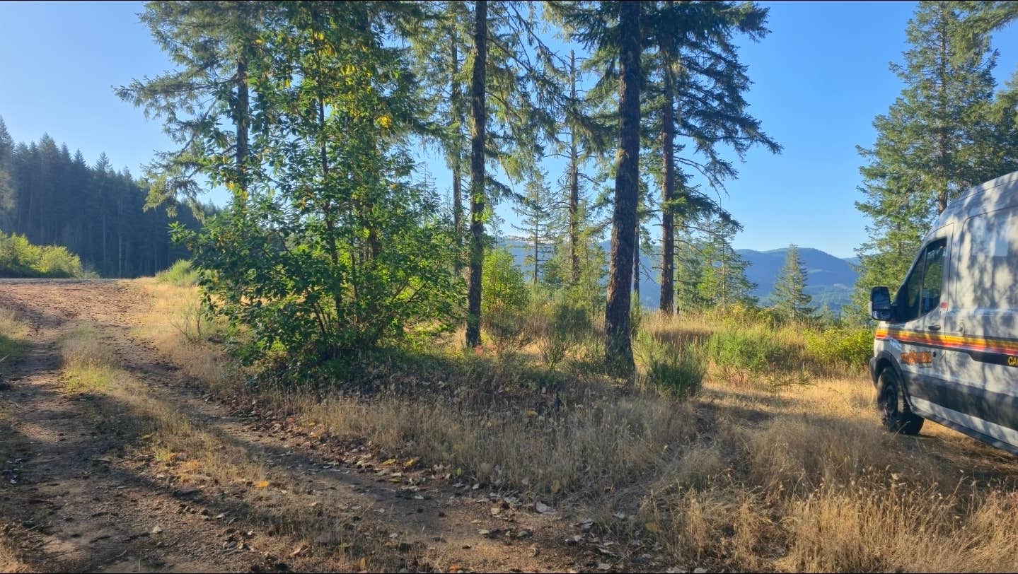 Camper-submitted photo at Camas Valley BLM near Lakeside, OR