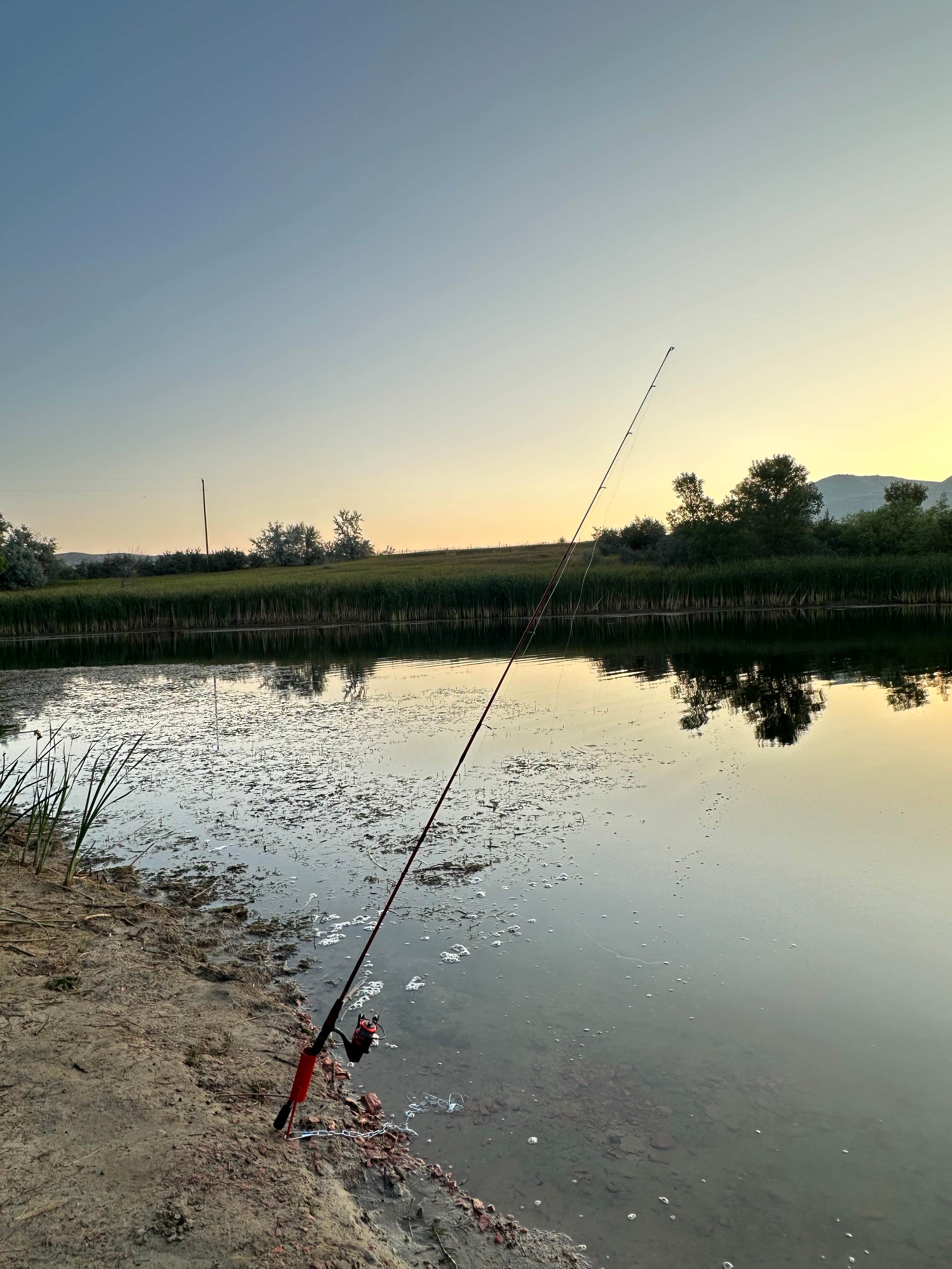 Camper submitted image from Camel's Hump Lake - 5