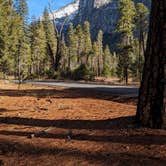 Review photo of Camp 4 — Yosemite National Park by PDNeff , December 29, 2024