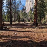 Review photo of Camp 4 — Yosemite National Park by PDNeff , December 29, 2024