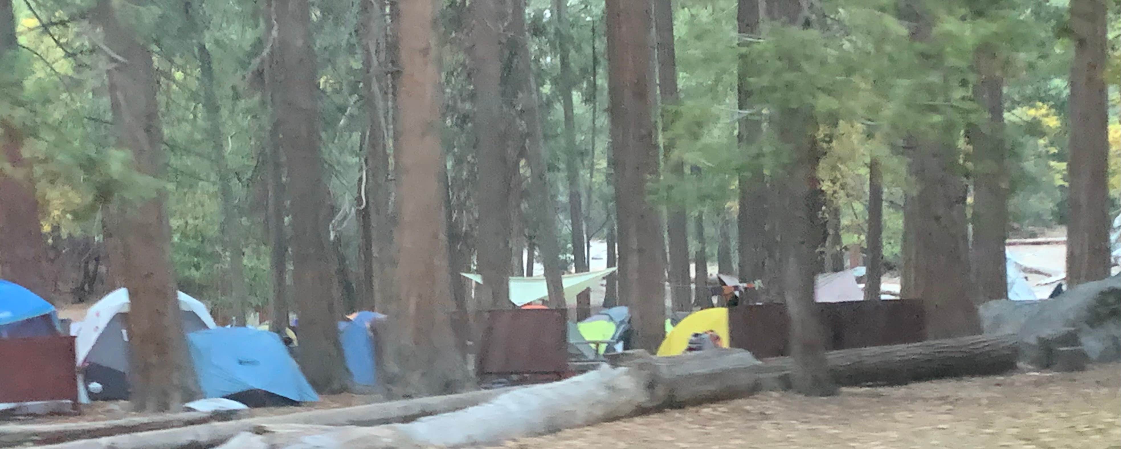 Crystal B.'s photo at Camp 4 — Yosemite National Park near El Portal, CA