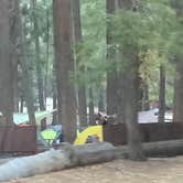 Review photo of Camp 4 — Yosemite National Park by Crystal B., November 9, 2025