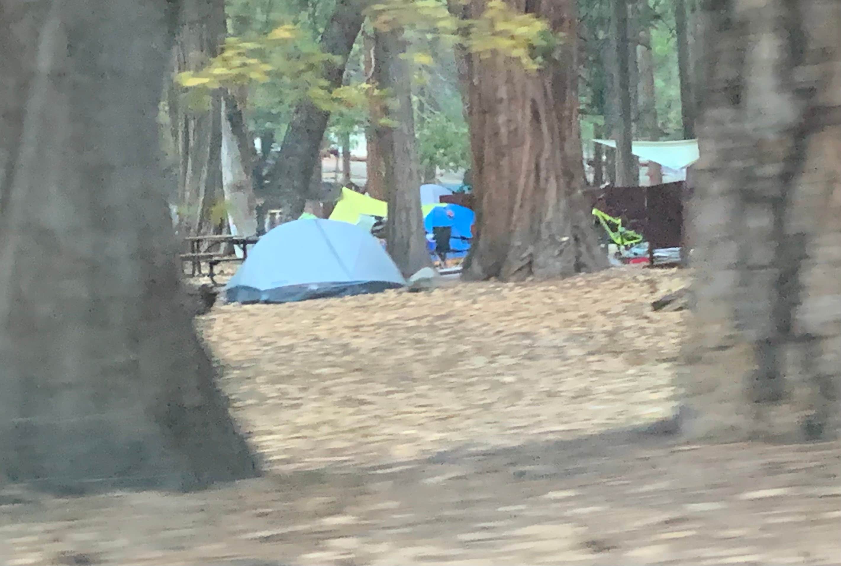 Crystal B.'s photo at Camp 4 — Yosemite National Park near El Portal, CA