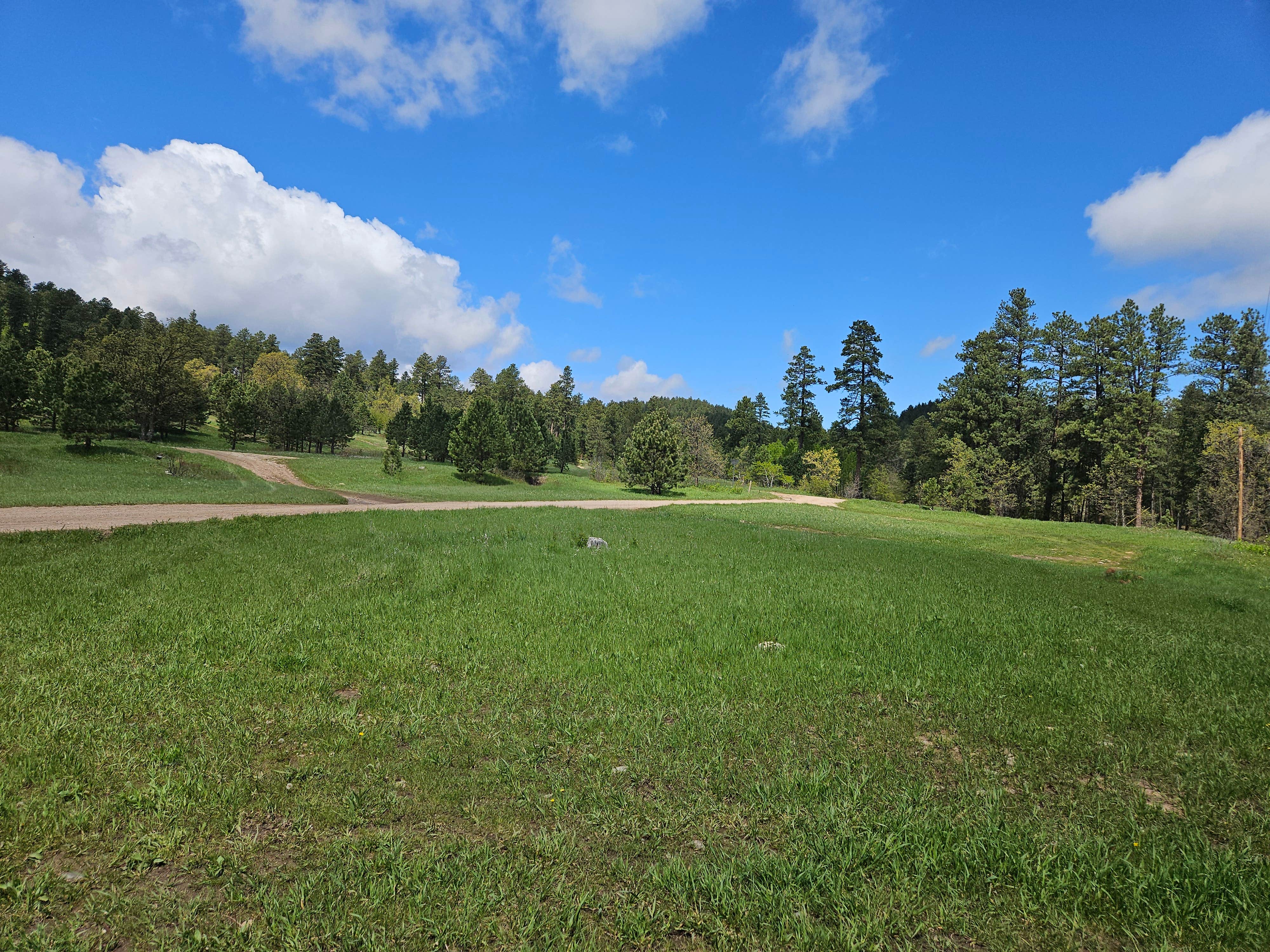 Camper-submitted photo at Camp 5 Motorized Trailhead near Sturgis, SD