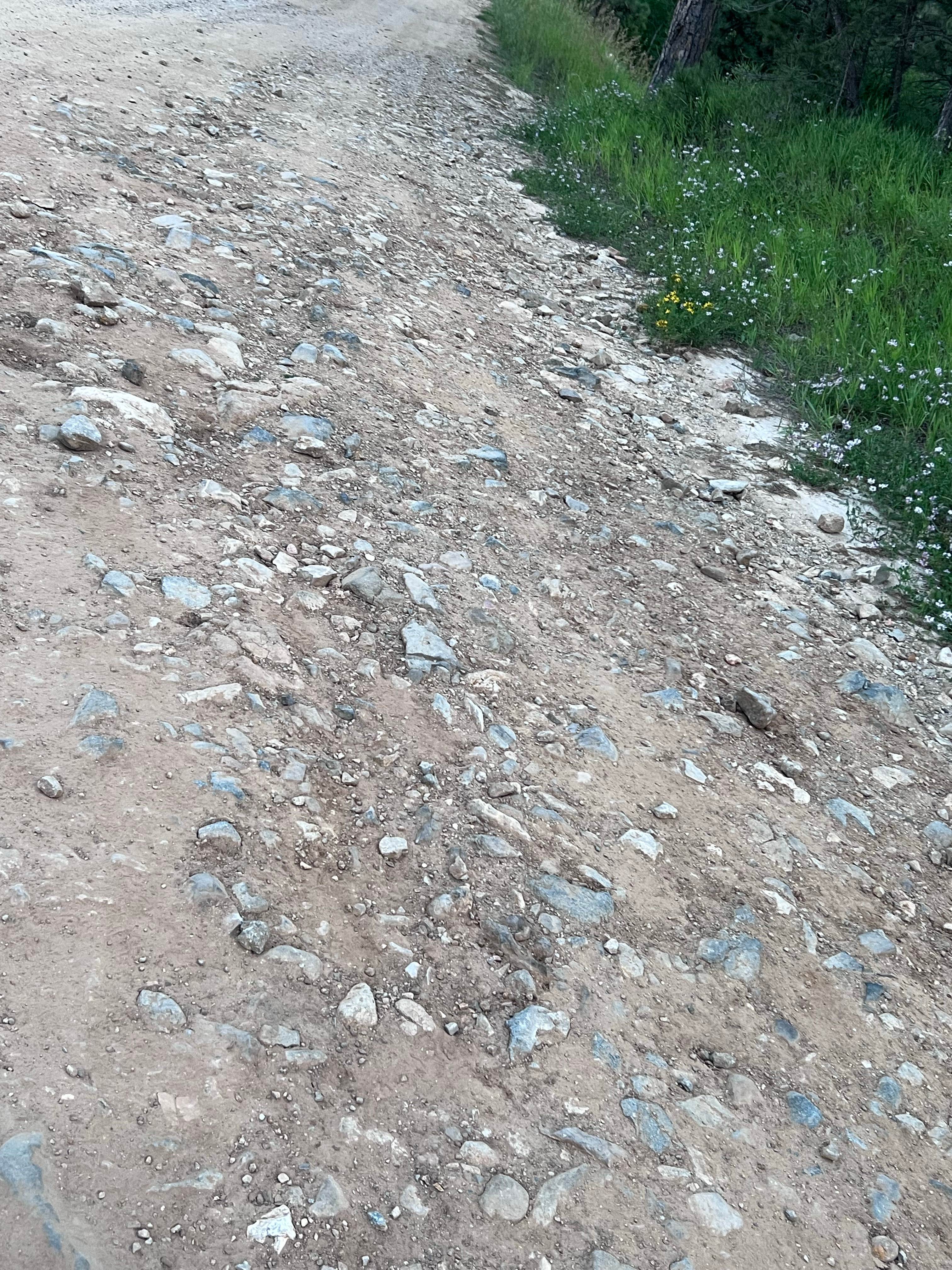 Camper-submitted photo at Camp 5 Dispersed near Deadwood, SD