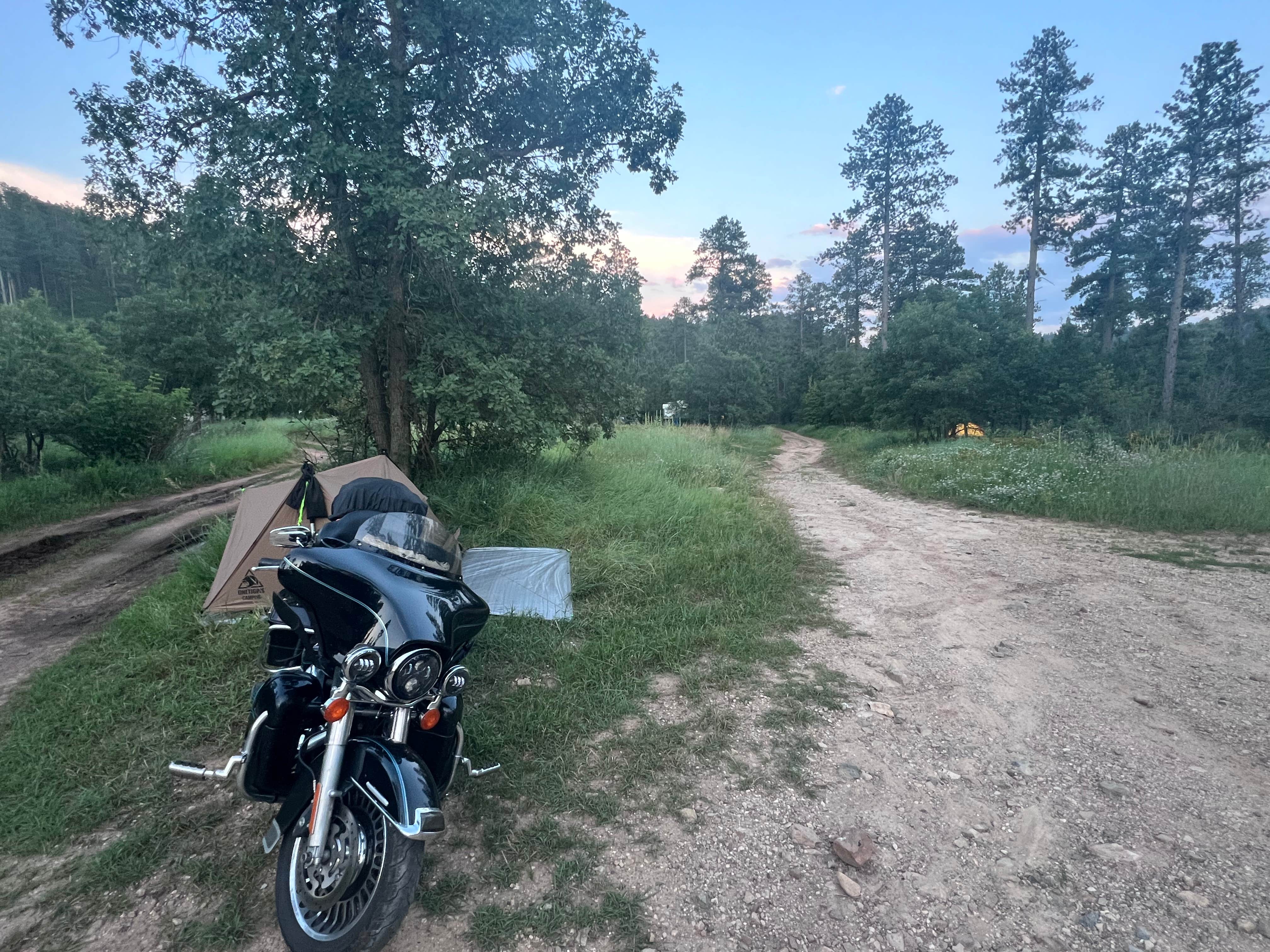 Camping near Blackhills NF Dispersed Site: Camp 5 Dispersed, Sturgis, South Dakota