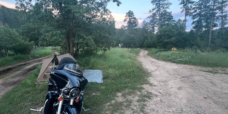 Camper submitted image from Camp 5 Dispersed