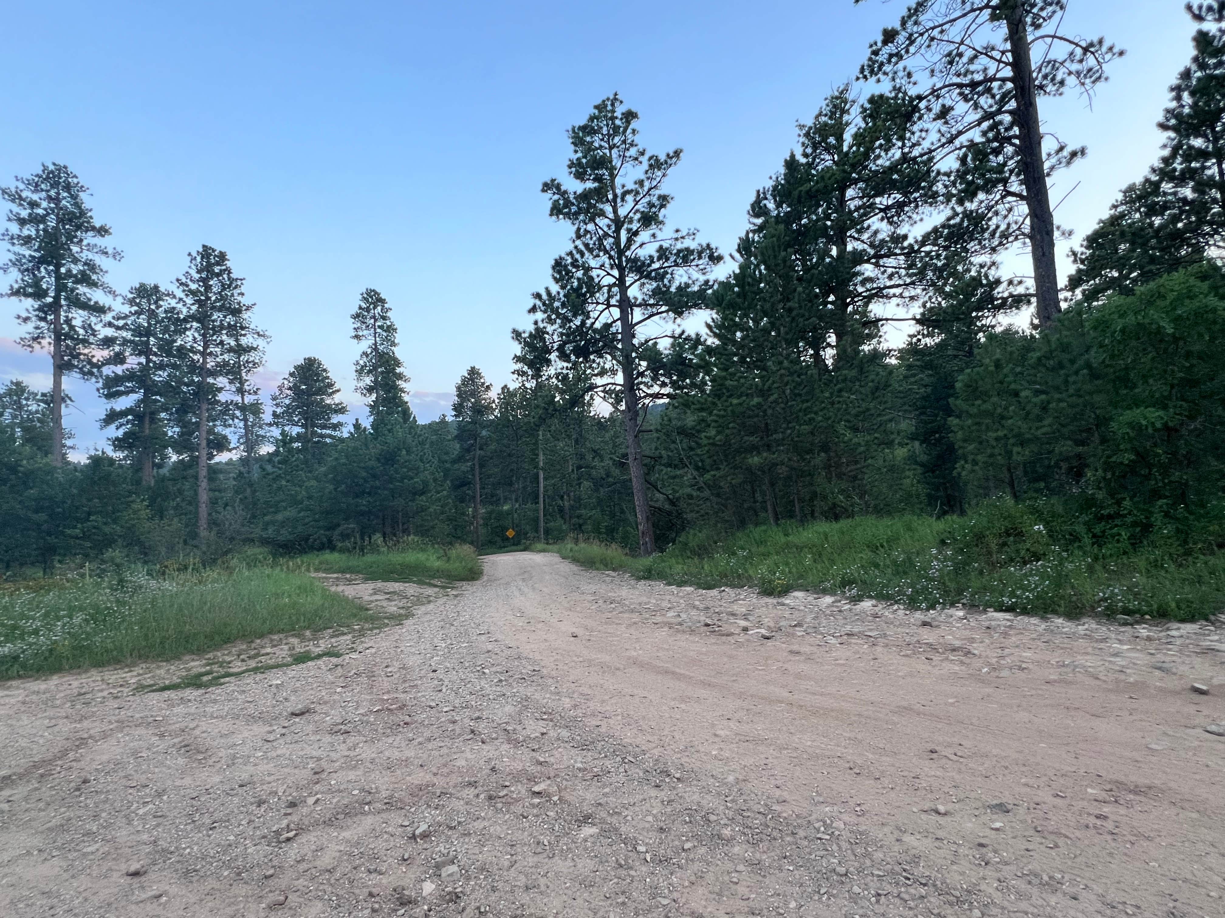 Camper-submitted photo at Camp 5 Dispersed near Deadwood, SD