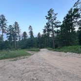 Review photo of Camp 5 Dispersed by Preston R., July 27, 2025