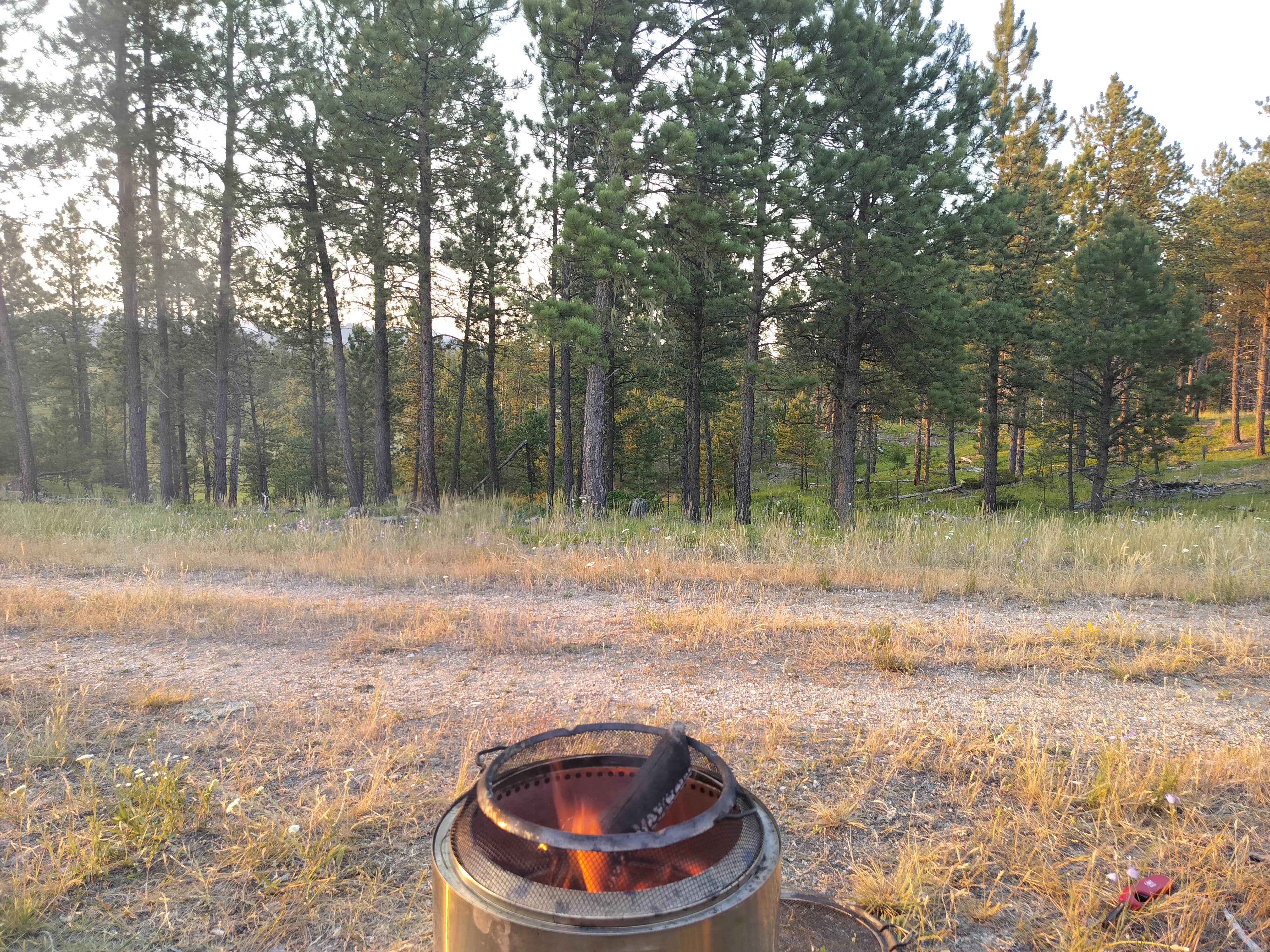 Camper-submitted photo at Camp Bob Marshall Dispersed near Silver City, SD