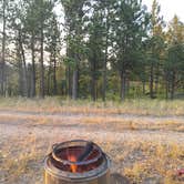 Review photo of Camp Bob Marshall Dispersed by Heather S., July 21, 2024