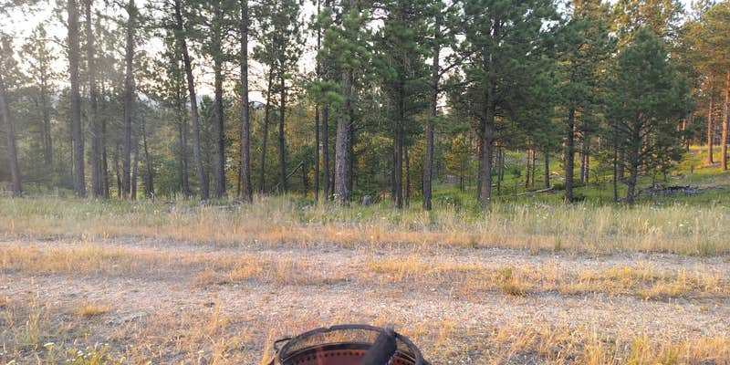 Camper submitted image from Camp Bob Marshall Dispersed