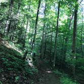 Review photo of Camp Burson Campground — Hungry Mother State Park by Kelsey R., June 8, 2024