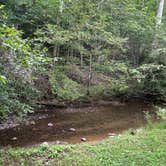 Review photo of Camp Burson Campground — Hungry Mother State Park by Michelle J., August 5, 2025