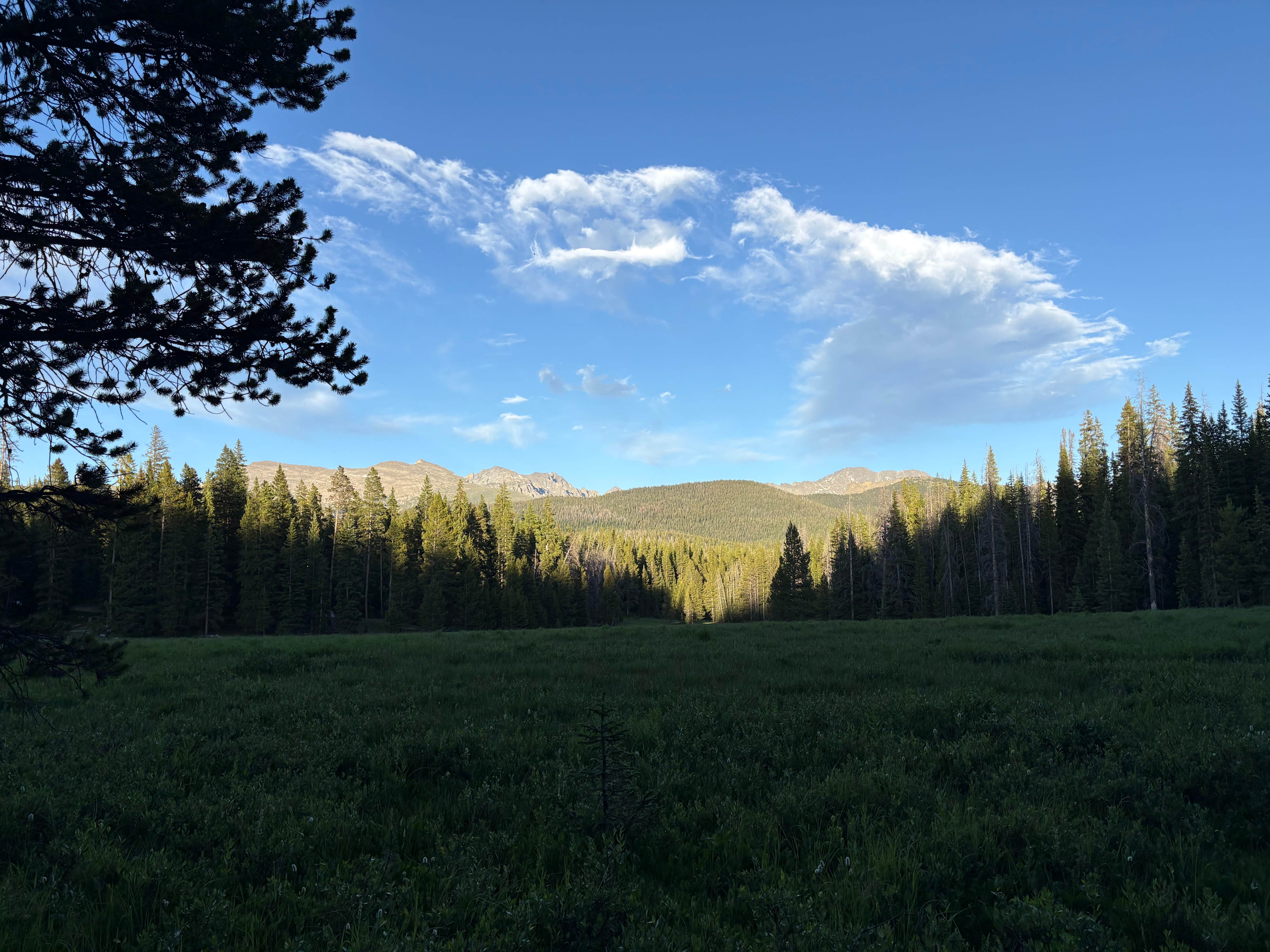 Camper-submitted photo at Camp Chandler Dispersed near Granby, CO