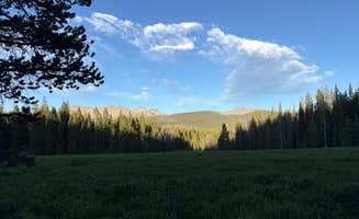 Zoe K.'s photo of a dispersed camping area at Camp Chandler Dispersed near Fraser, CO