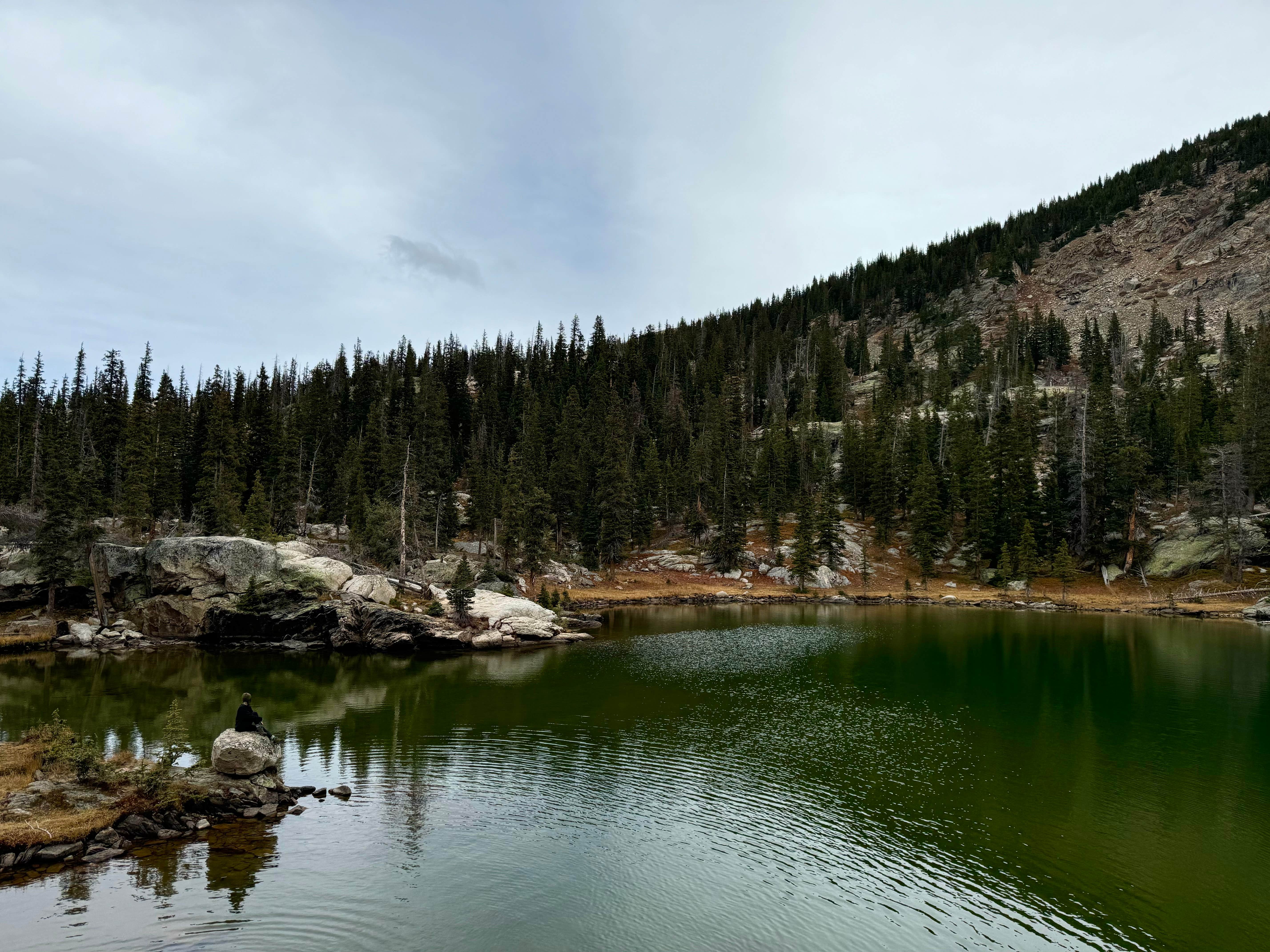 Naomi K.'s photo of a dispersed camping area at Camp Chandler Dispersed near Granby, CO