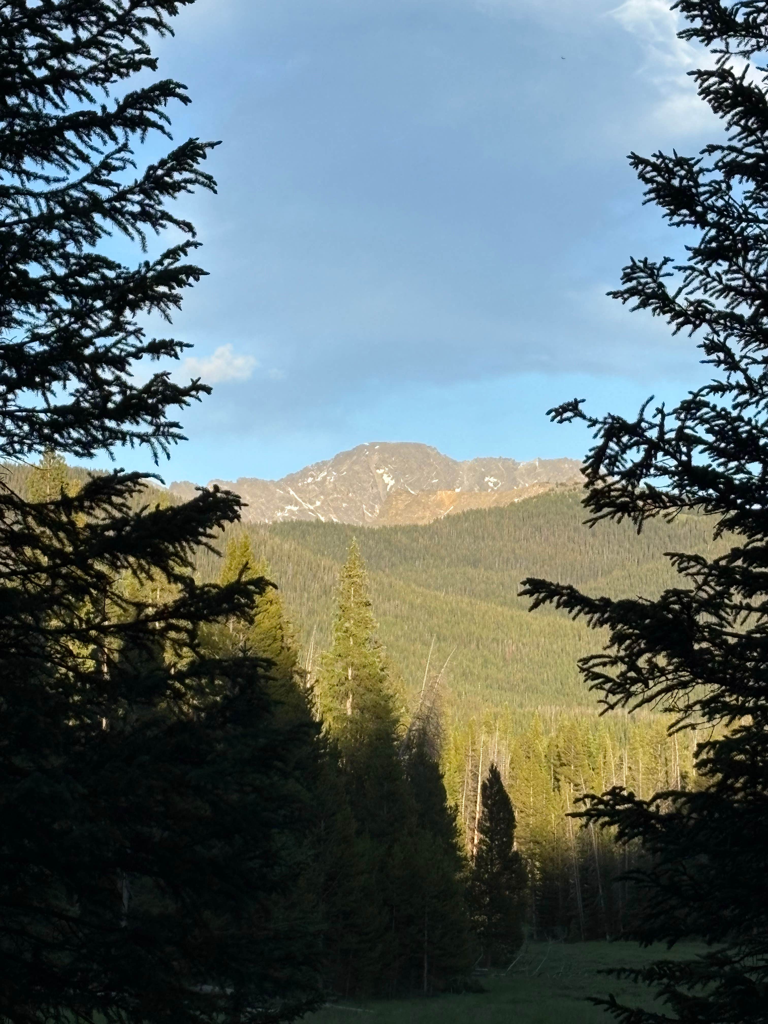 Camper-submitted photo at Camp Chandler Dispersed near Granby, CO