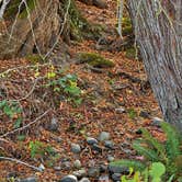 Review photo of Camp Clark by Clark F., October 12, 2026