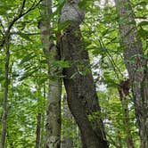 Review photo of Camp Creek State Park Campground by Craig B., October 11, 2023