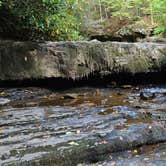 Review photo of Camp Creek State Park Campground by Craig B., October 11, 2023