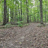 Review photo of Camp Creek State Park Campground by Craig B., October 11, 2023
