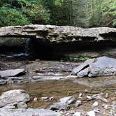 Review photo of Camp Creek State Park Campground by Craig B., October 11, 2023