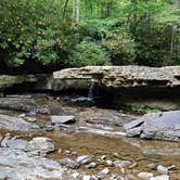 Review photo of Camp Creek State Park Campground by Craig B., October 11, 2023