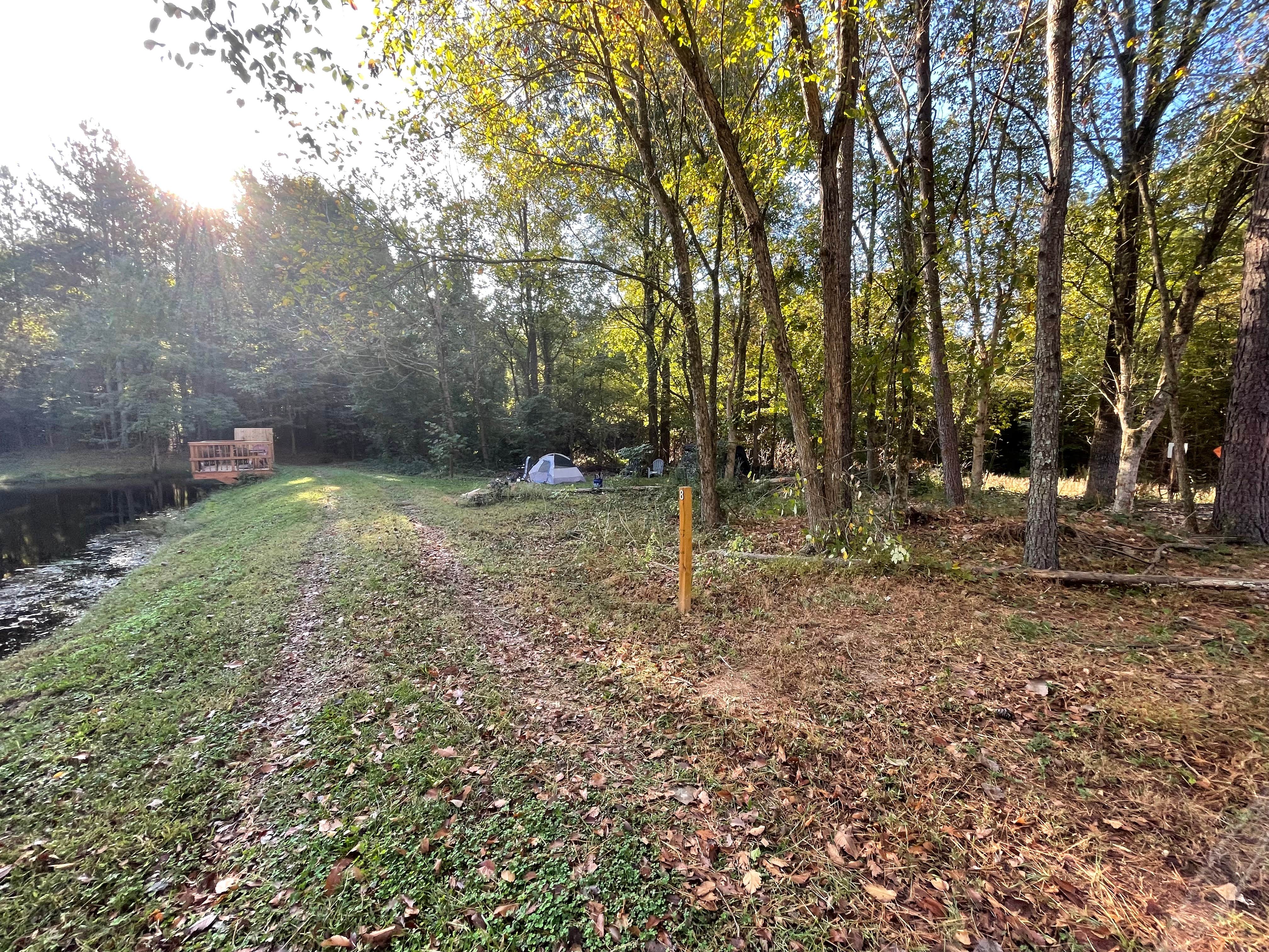 Camper-submitted photo at Camp Julia near Harrisburg, NC
