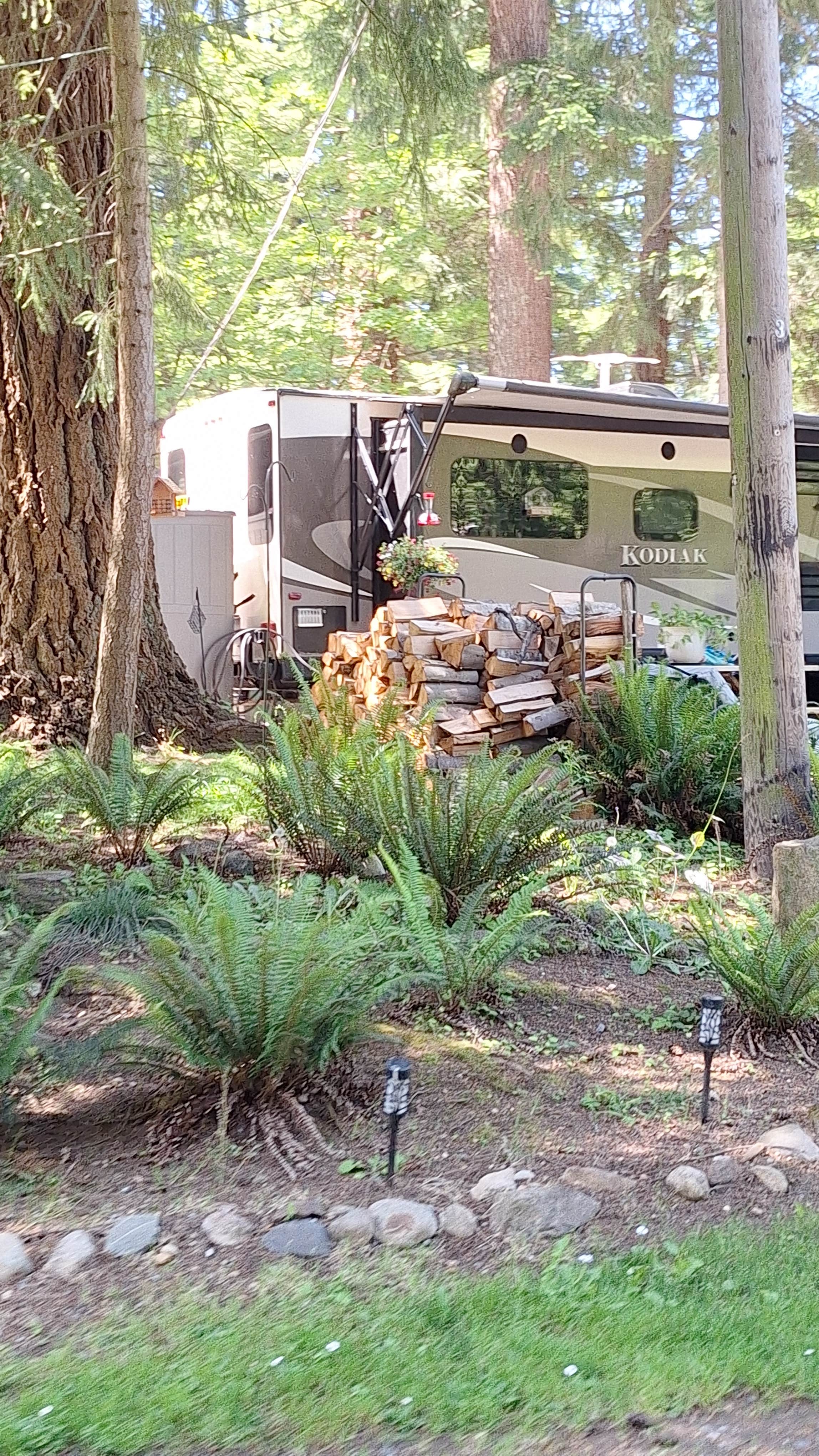 Kelly R.'s photo of rv camping at Lake Ki RV Resort near Nordland, WA