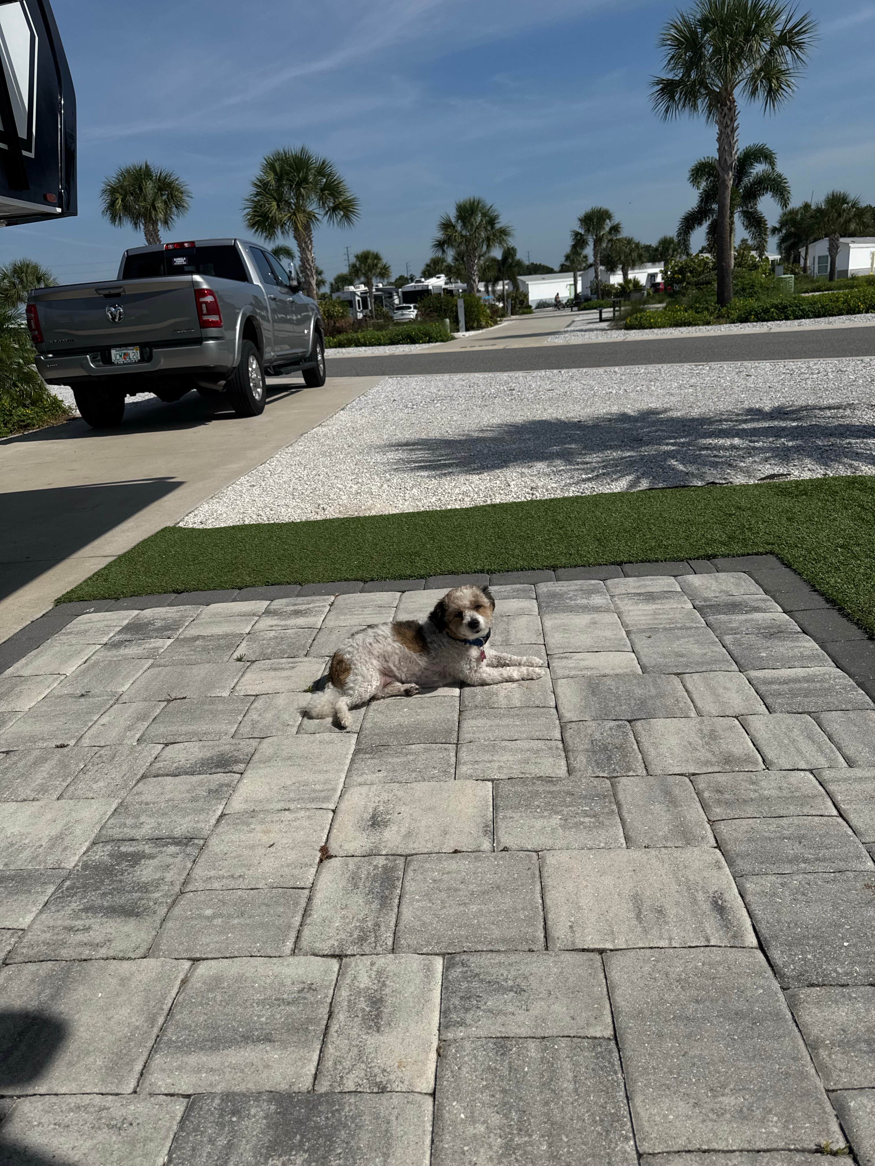 Amanda W.'s photo of camping with pets at Camp Margaritaville RV Resort and Cabana Cabins Auburndale near Haines City, FL
