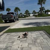 Review photo of Camp Margaritaville RV Resort and Cabana Cabins Auburndale by Amanda W., September 7, 2025