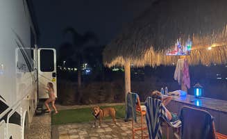 Joe R.'s photo of camping with pets at Camp Margaritaville RV Resort and Cabana Cabins Auburndale near Poinciana, FL