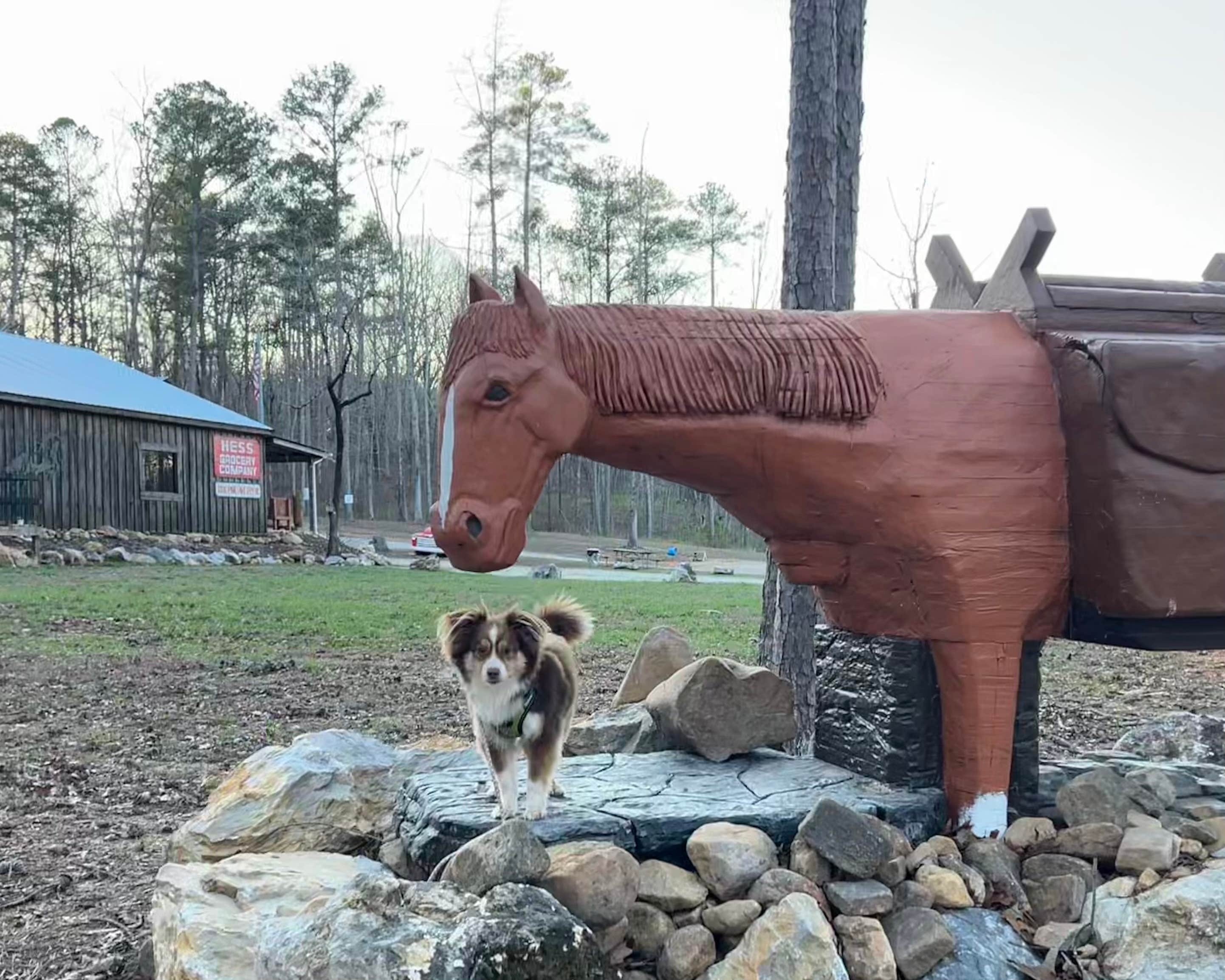 Barb H.'s photo of camping with pets at Camp McClellan Horse Trails Campground near Munford, AL