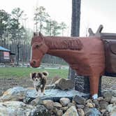 Review photo of Camp McClellan Horse Trails Campground by Barb H., March 2, 2026