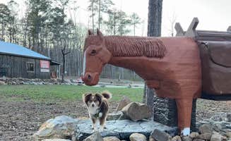 Barb H.'s photo of camping with pets at Camp McClellan Horse Trails Campground near Rainbow City, AL