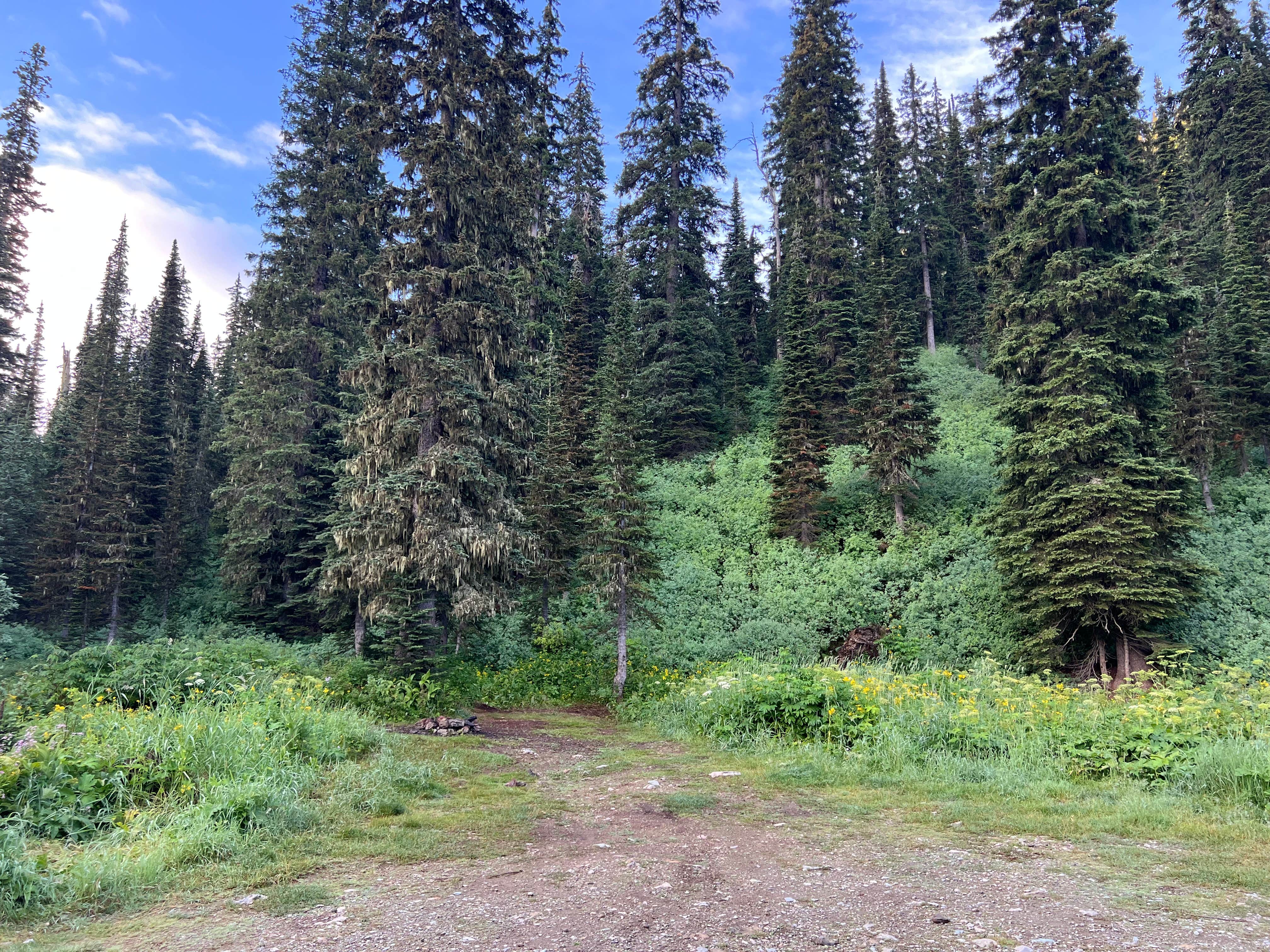 Camping near Canyon Creek Boat Ramp Campground: Camp Misery Trailhead, Bigfork, Montana