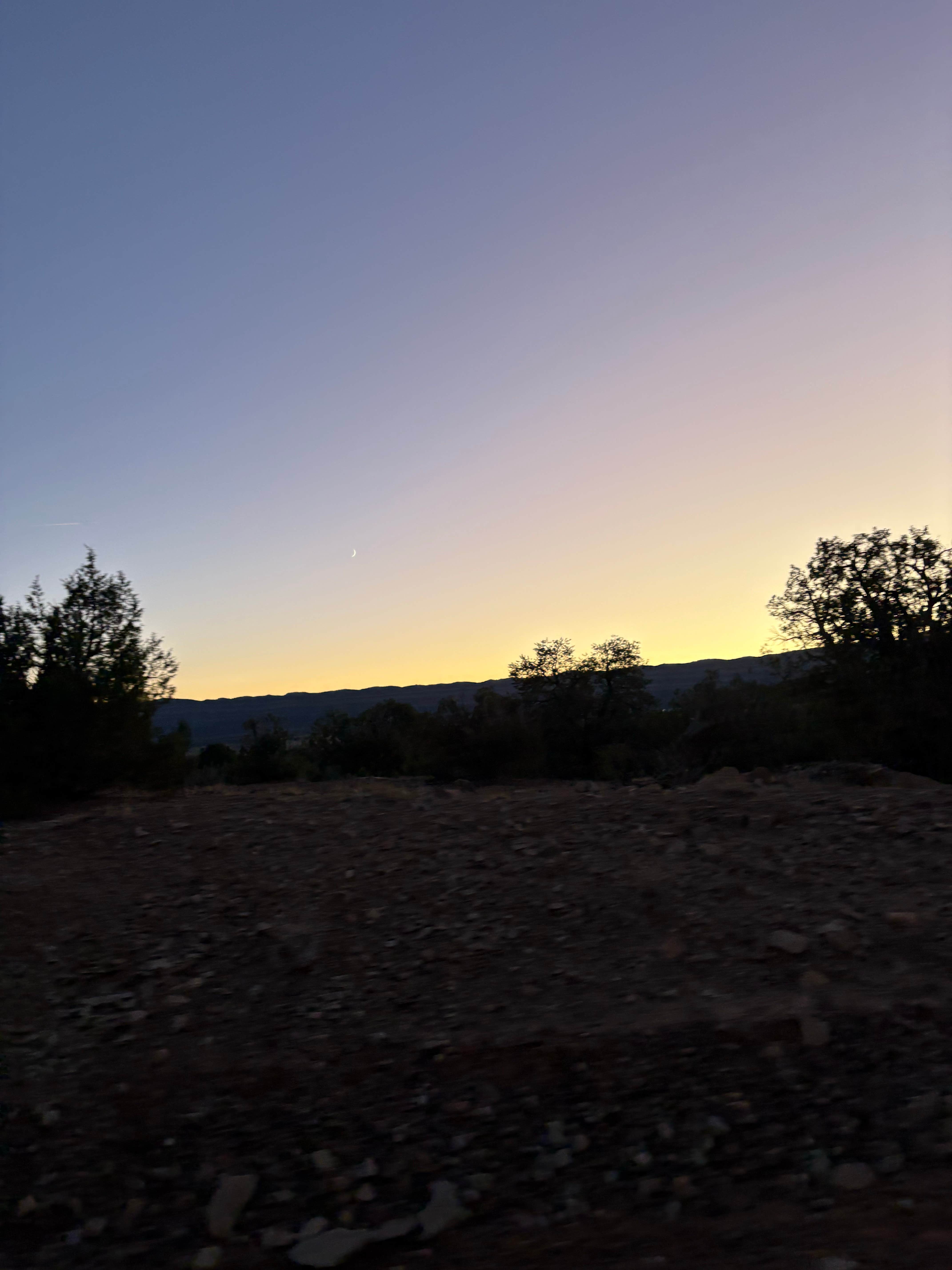 Stacia M.'s photo of a dispersed camping area at Dispersed Camp near shade tree on Hans Wash Road near Escalante, UT