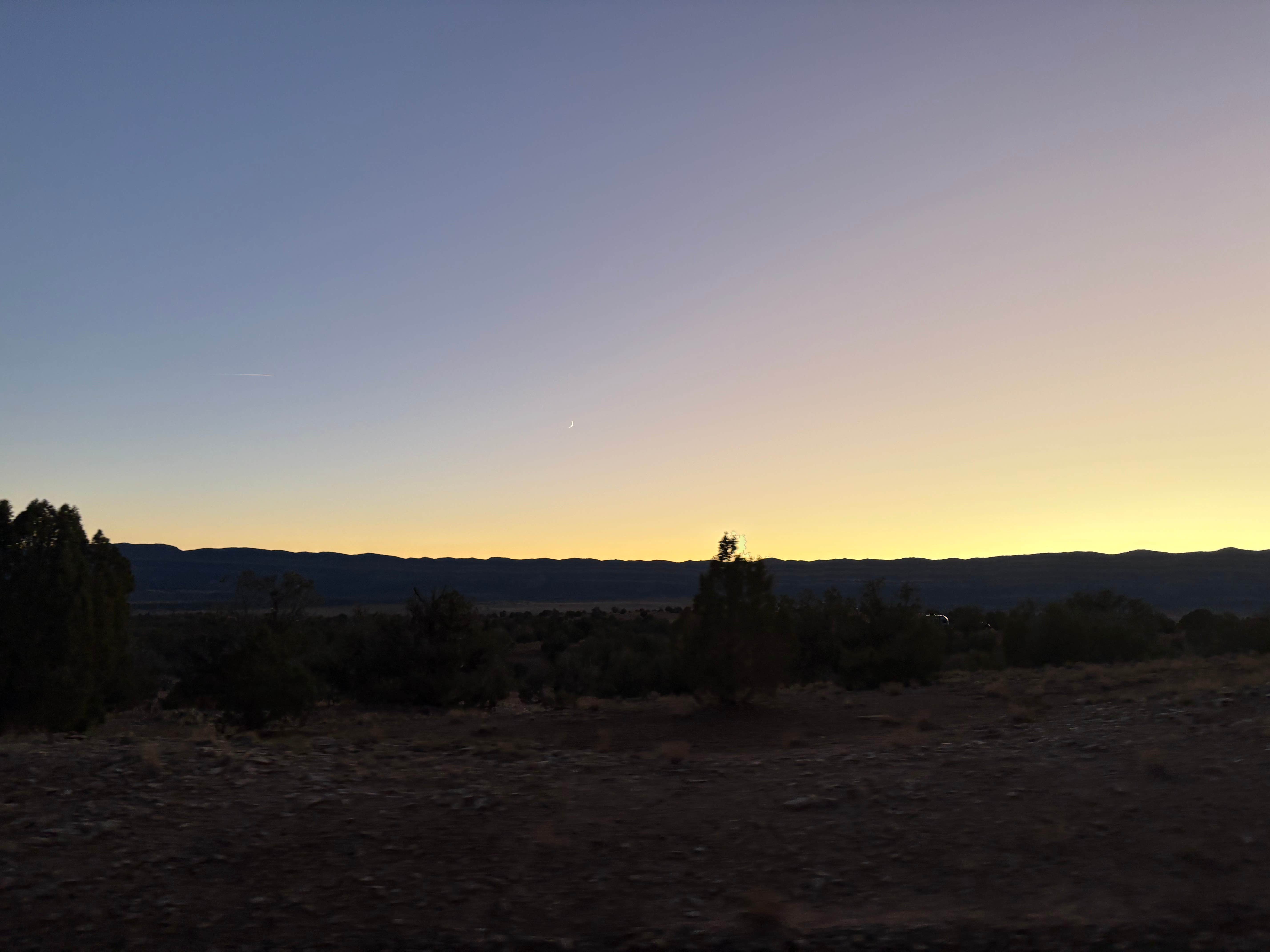 Camper submitted image from Dispersed Camp near shade tree on Hans Wash Road - 3