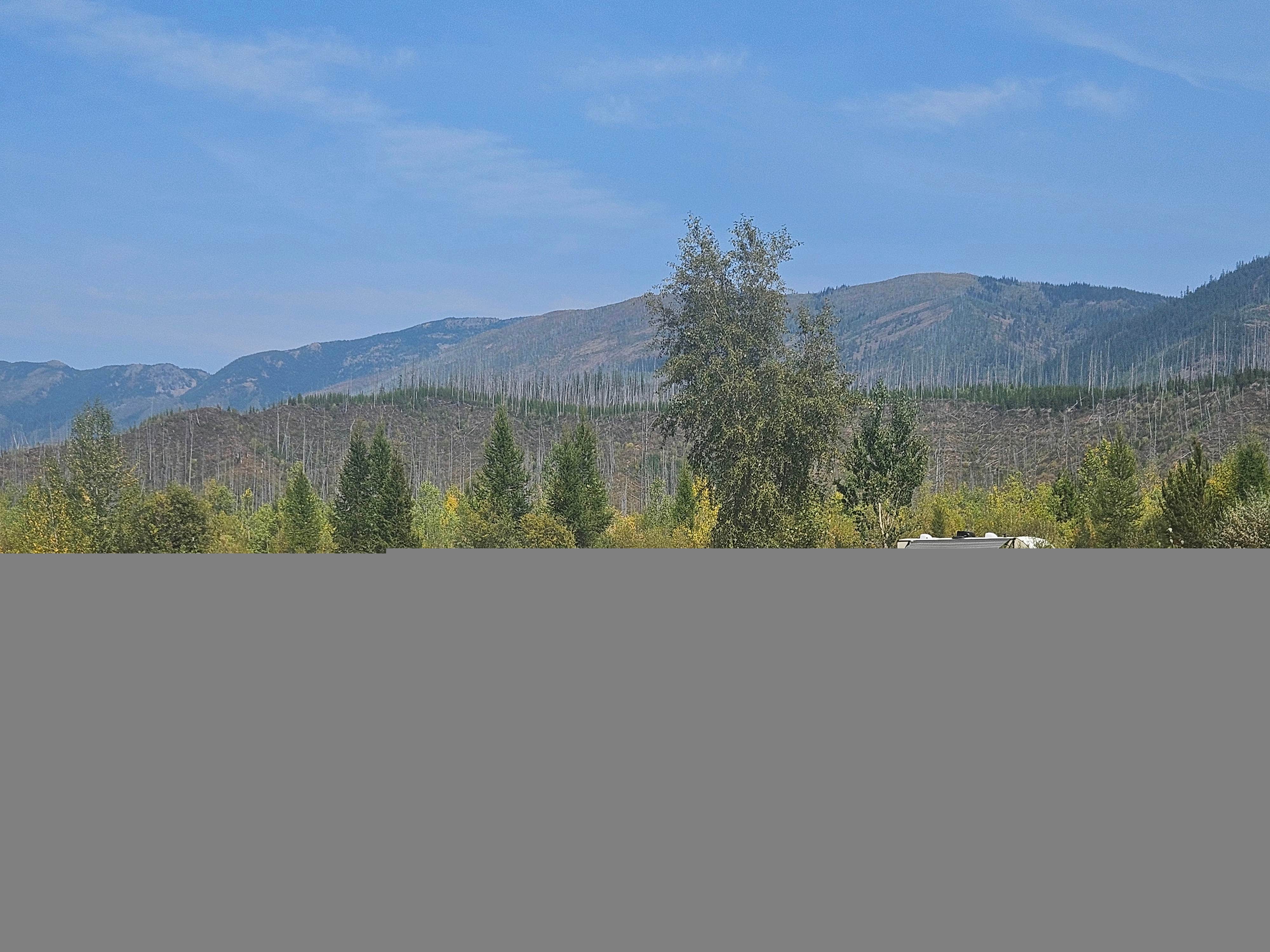 Camper submitted image from Camp off North Fork Road - 1