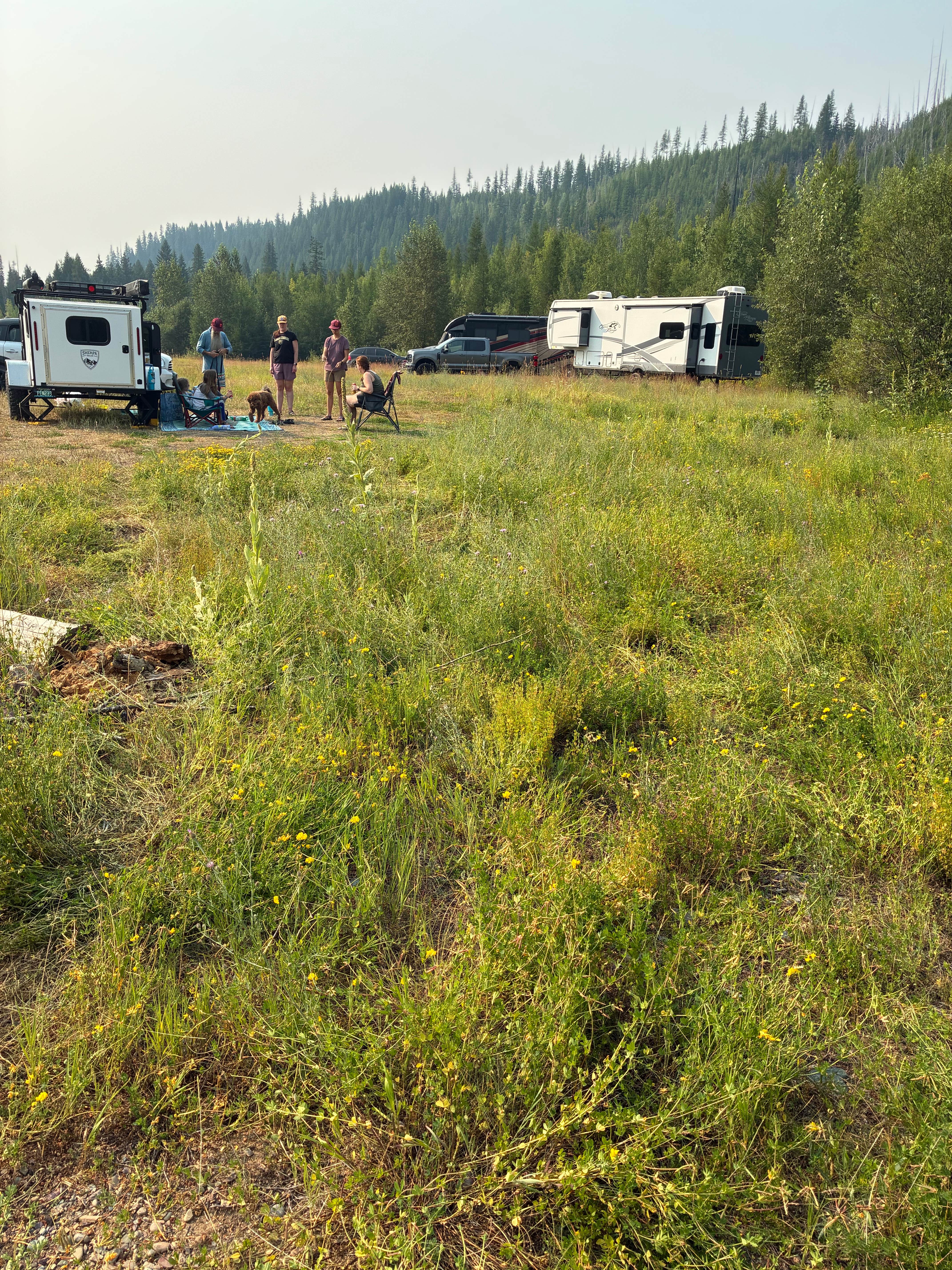 Camper-submitted photo at Camp off North Fork Road near Hungry Horse, MT