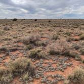 Review photo of Camp Picacho at the Grand Canyon by Conrad Y., April 21, 2026